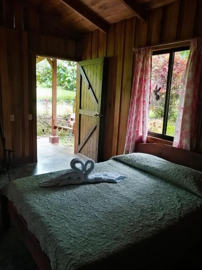 Cataratas Lodge, Incluye Tour Autoguiado Waterfalls Hike 2* Bijagua