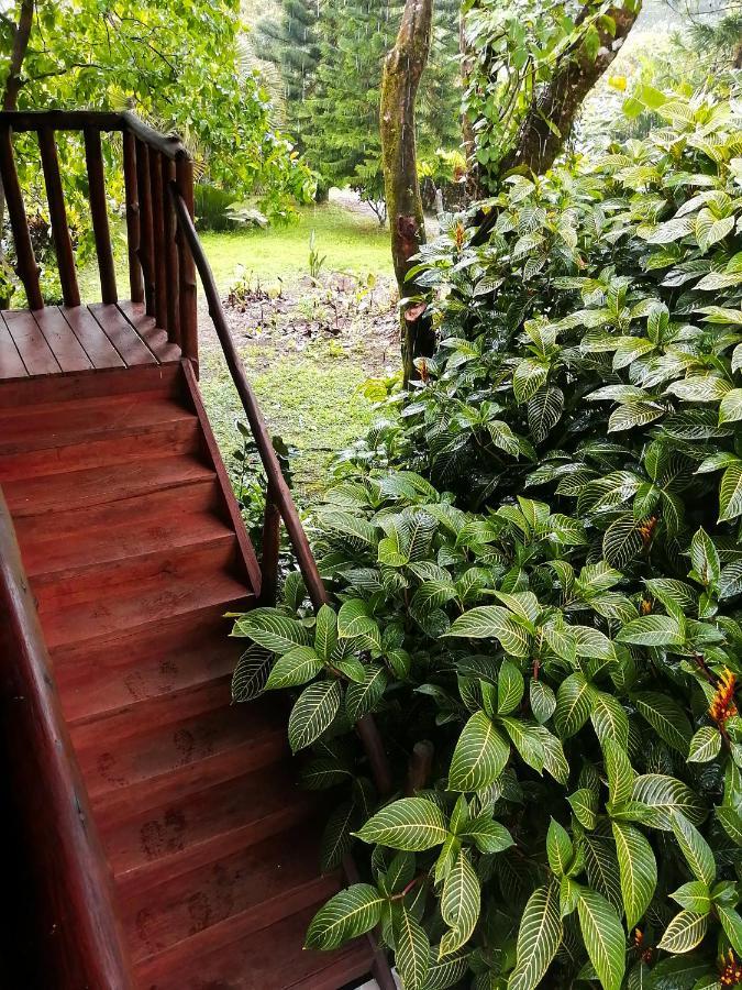 Cataratas Lodge, Incluye Tour Autoguiado Waterfalls Hike 2* Bijagua