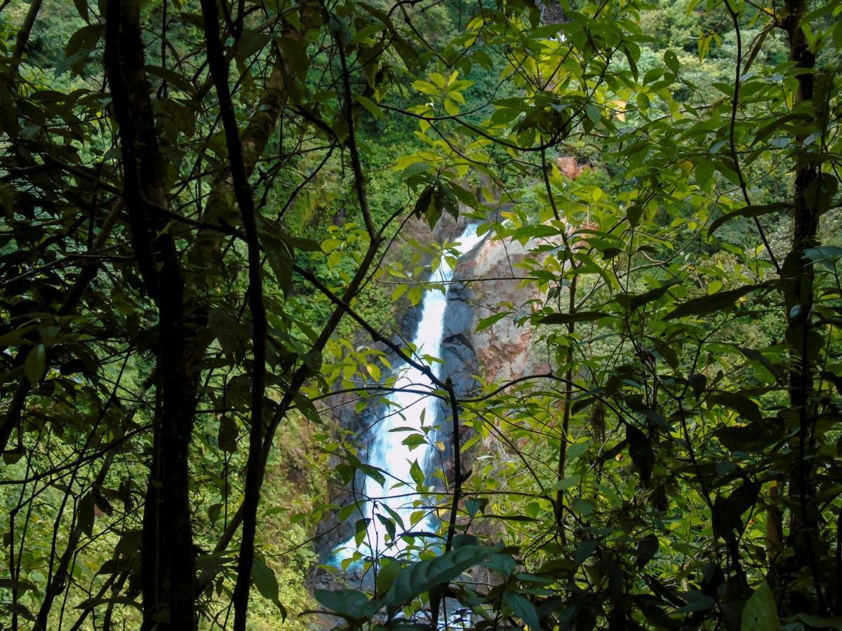 Cataratas Lodge, Incluye Tour Autoguiado Waterfalls Hike 2* Bijagua de Upala