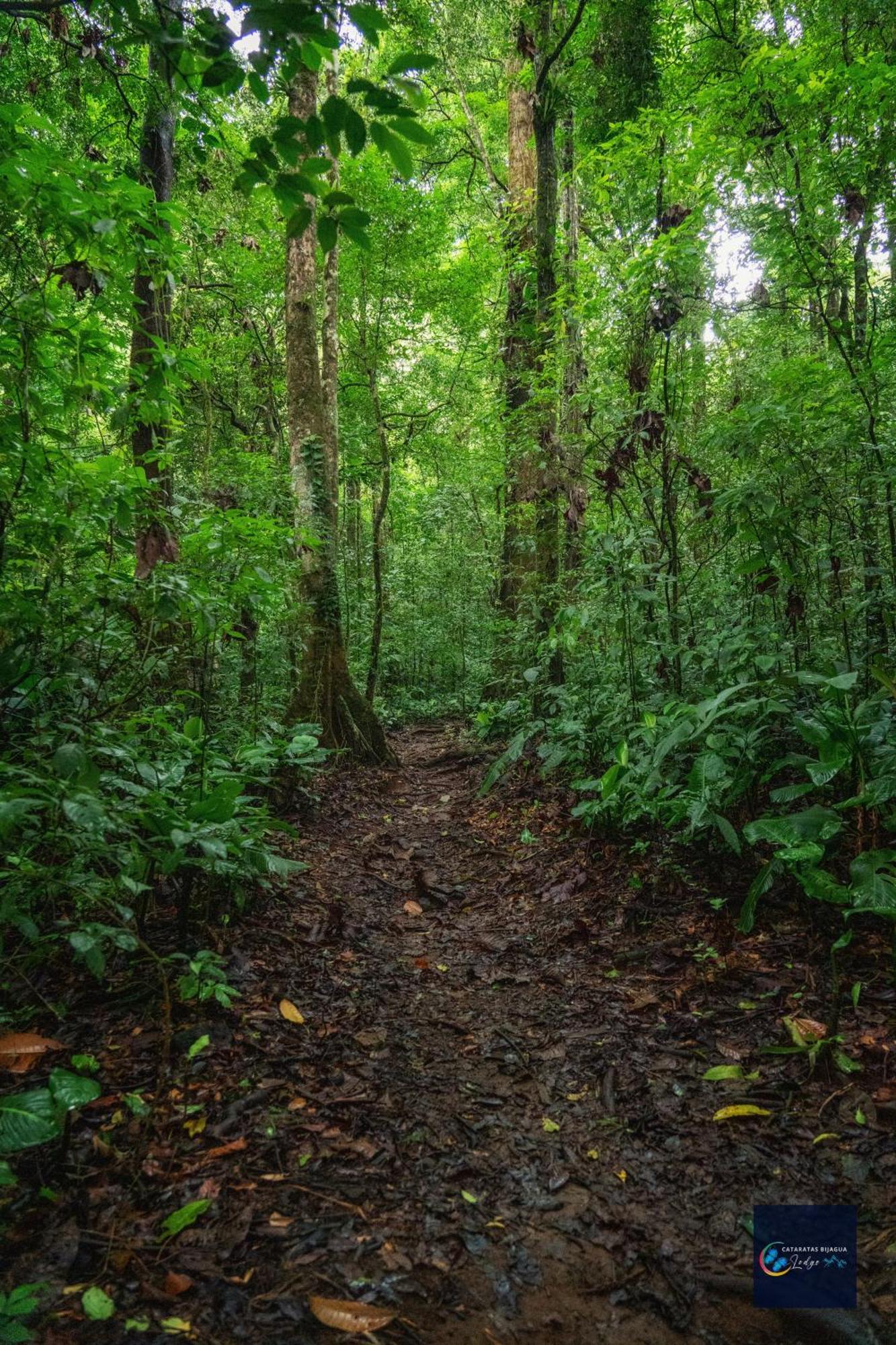 Holiday park Cataratas Lodge, Incluye Tour Autoguiado Waterfalls Hike