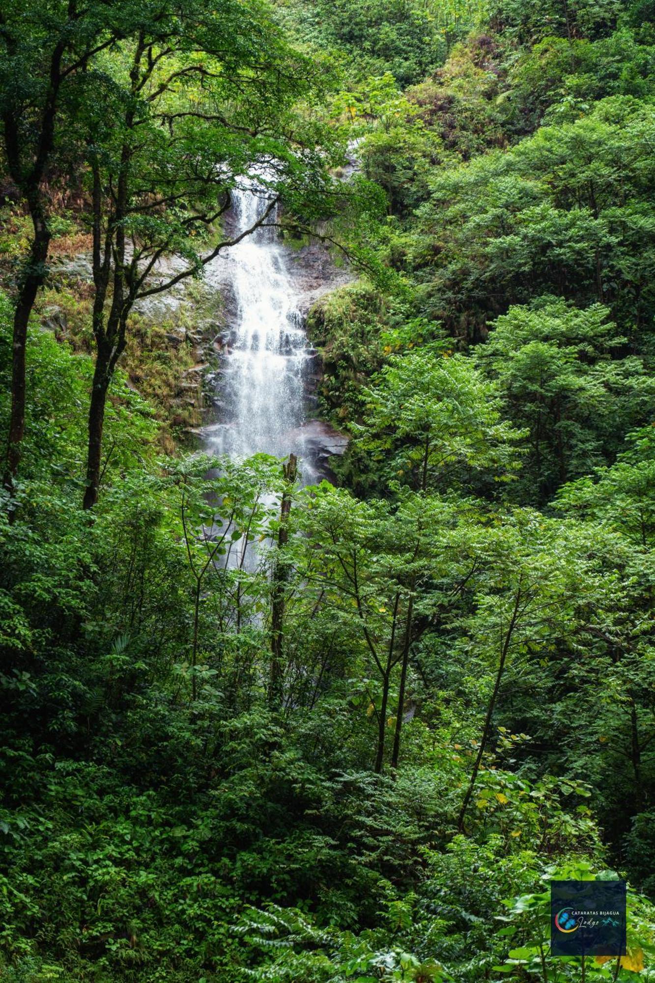 Cataratas Lodge, Incluye Tour Autoguiado Waterfalls Hike 2*