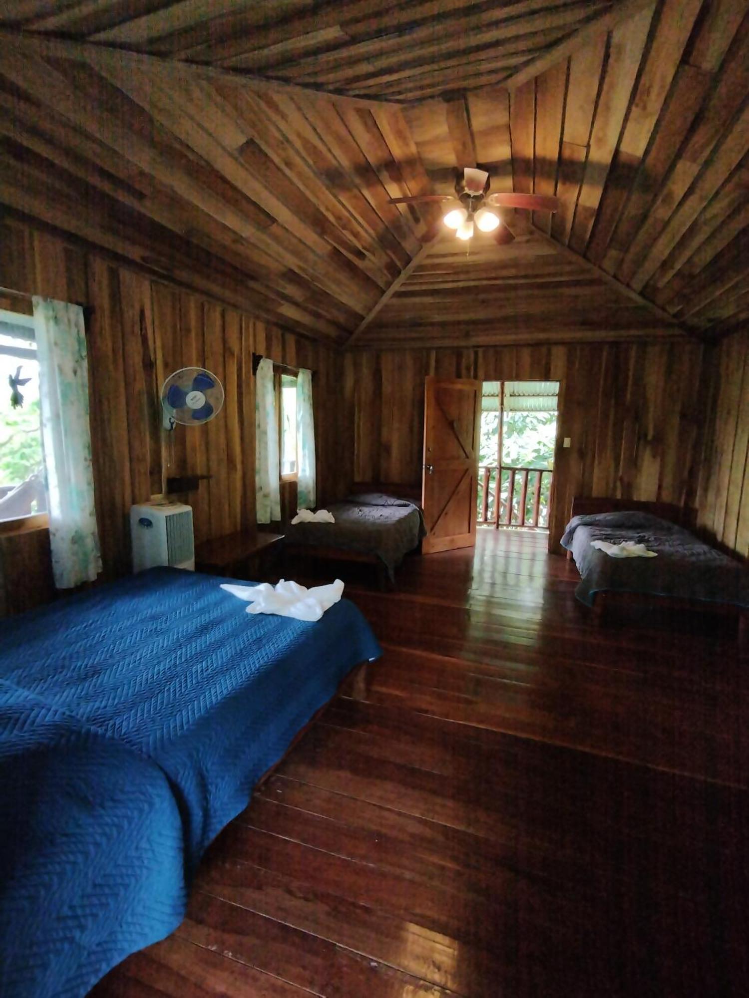 Cataratas Lodge, Incluye Tour Autoguiado Waterfalls Hike