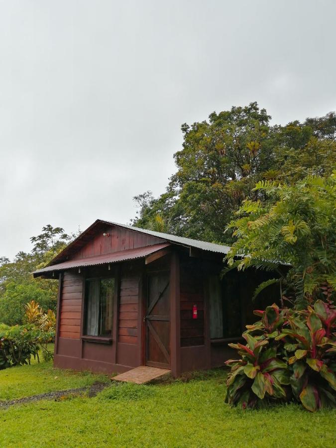 Cataratas Lodge, Incluye Tour Autoguiado Waterfalls Hike