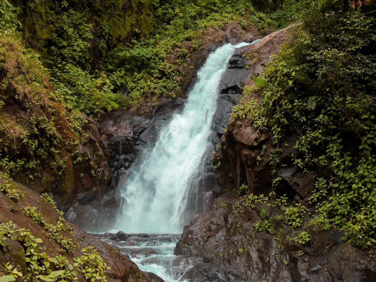 Cataratas Lodge, Incluye Tour Autoguiado Waterfalls Hike 2*