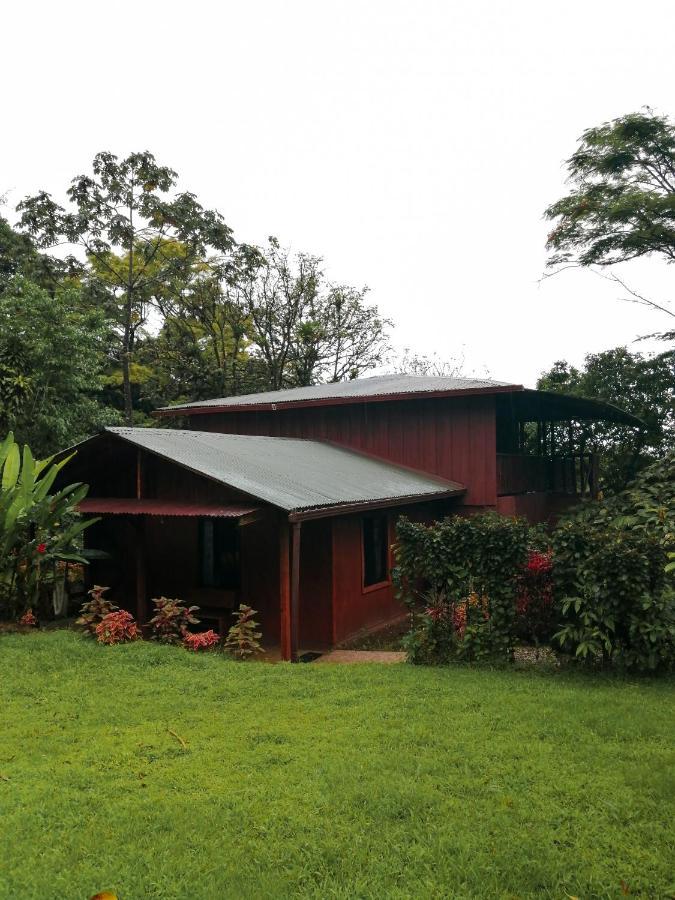 Cataratas Lodge, Incluye Tour Autoguiado Waterfalls Hike 2* Bijagua