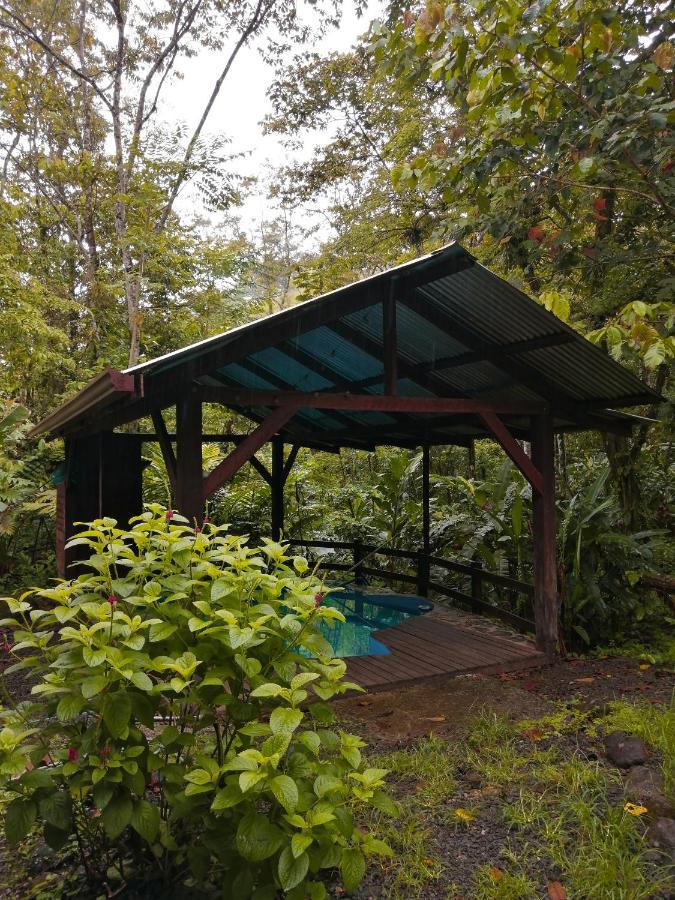 Cataratas Lodge, Incluye Tour Autoguiado Waterfalls Hike Bijagua