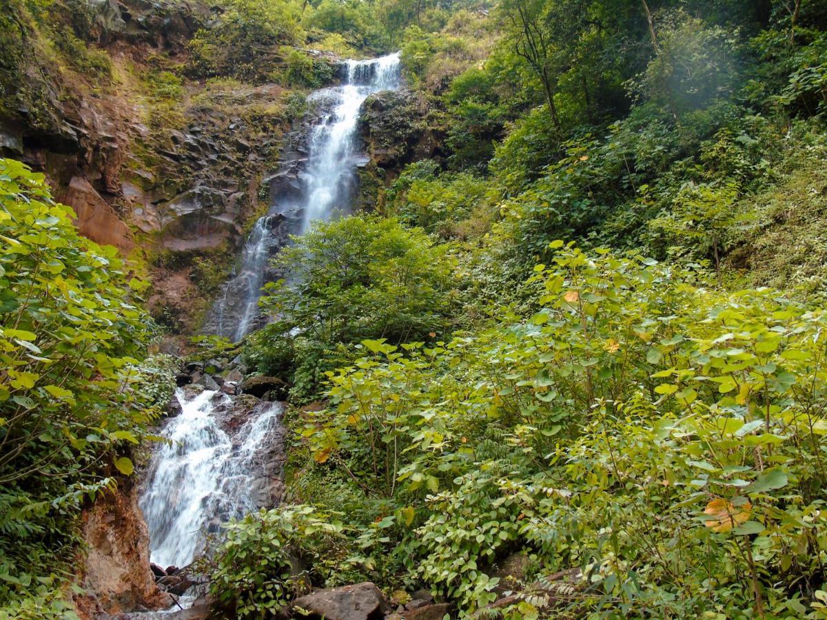 Cataratas Lodge, Incluye Tour Autoguiado Waterfalls Hike Holiday park Bijagua