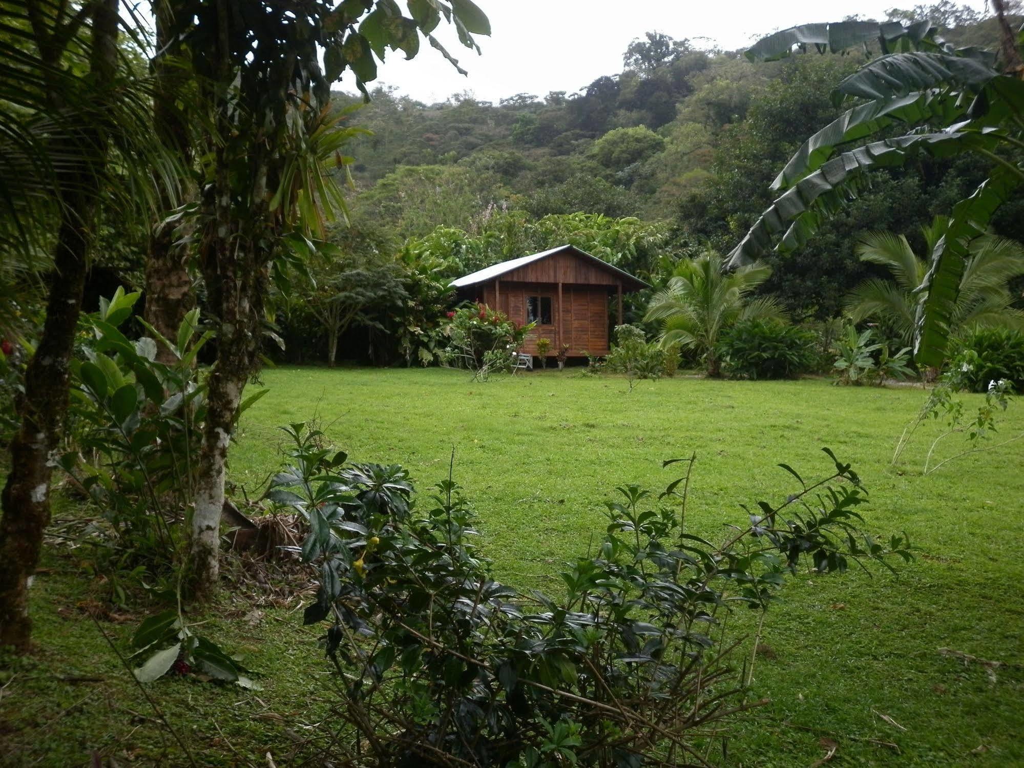 Cataratas Lodge, Incluye Tour Autoguiado Waterfalls Hike 2*